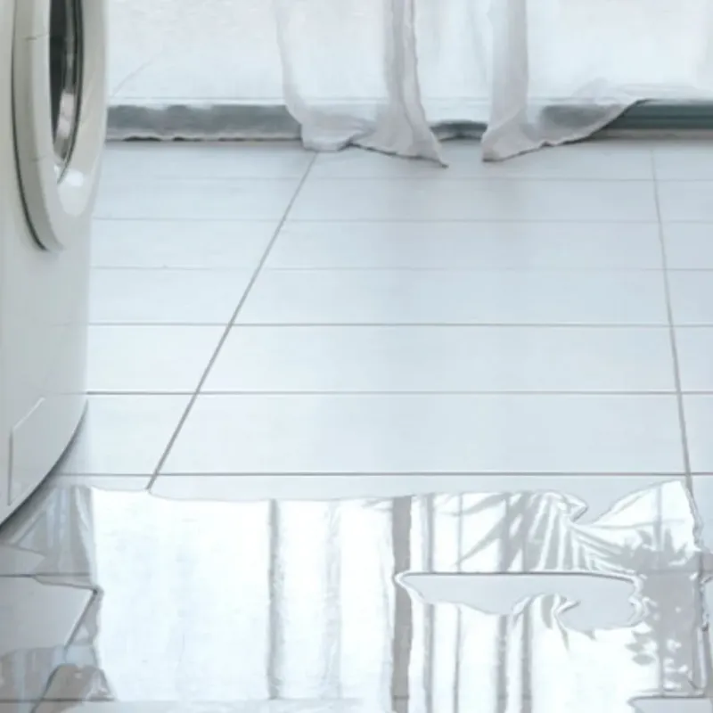 Appliance Leak Cleanup in Chatham County, NC