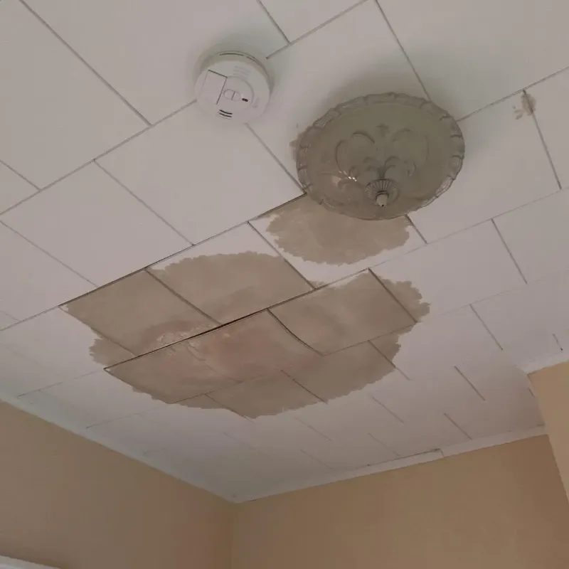 Ceiling Water Damage Repair in Chatham County, NC