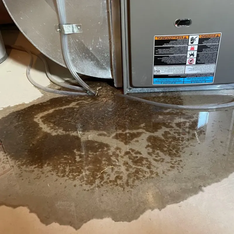 Pipe Burst and Leak Restoration in Chatham County, NC