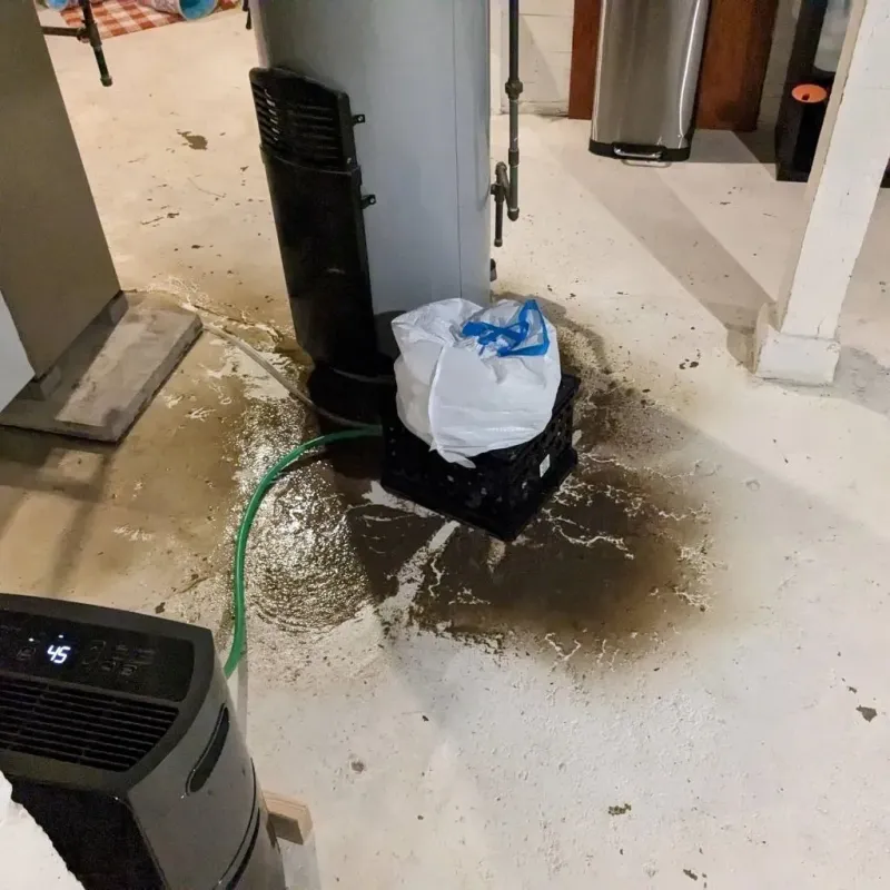 Sewage Backup Cleanup Service in Chatham County, NC